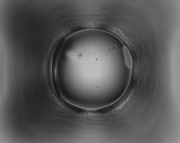 X0000093430585200710121203