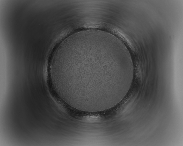 X0000093430586200710121203