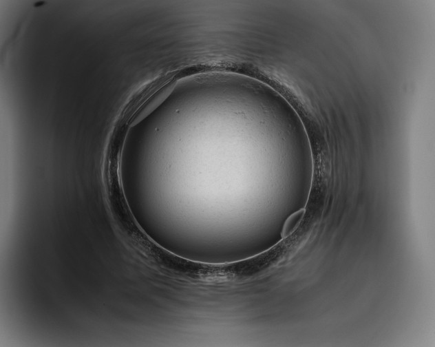 X0000093430587200710121203