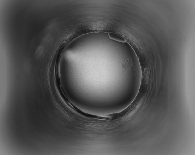X0000093430589200710121203