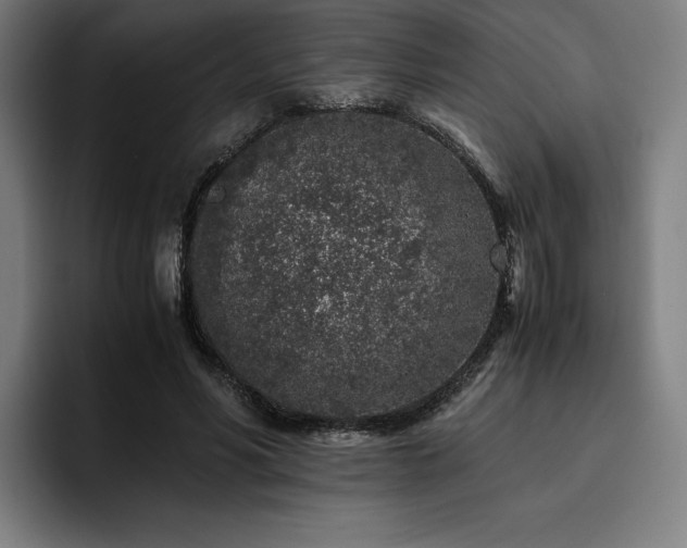 X0000093430590200710121203