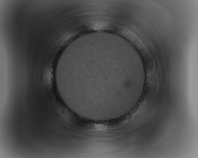 X0000093430592200710121203