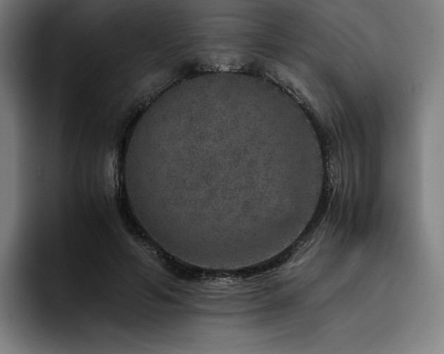 X0000093430594200710121203