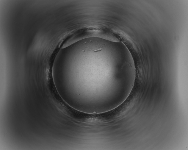 X0000093430596200710121203