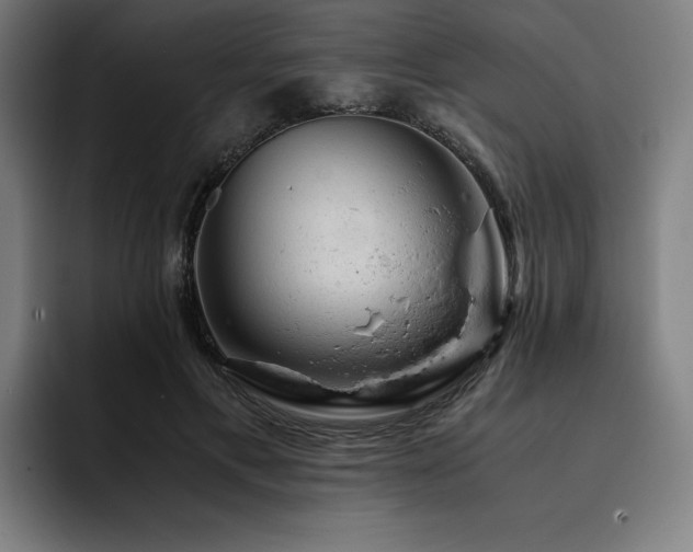 X0000093430597200710121203