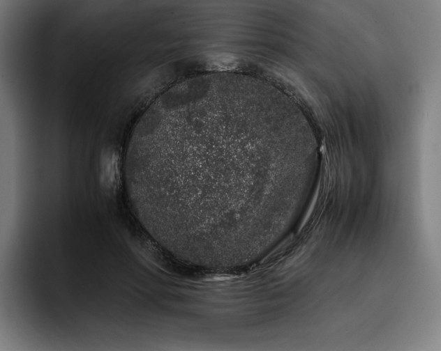 X0000093430598200710121203