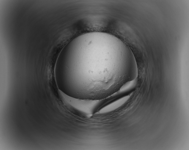 X0000093430599200710121203