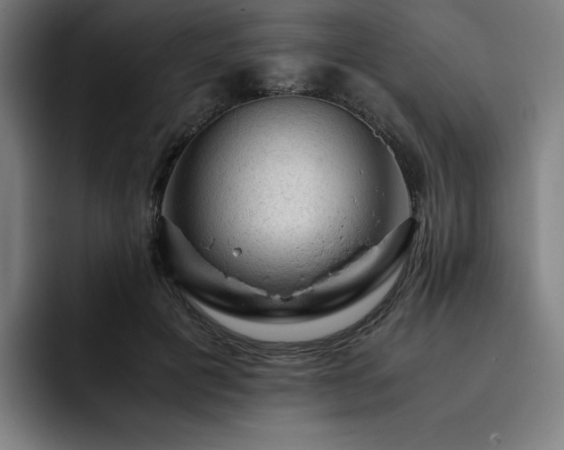 X0000093430601200710121203