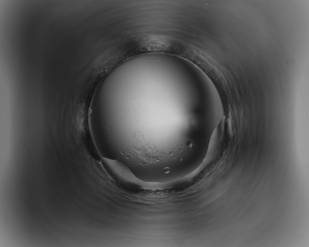 X0000093430604200710121203