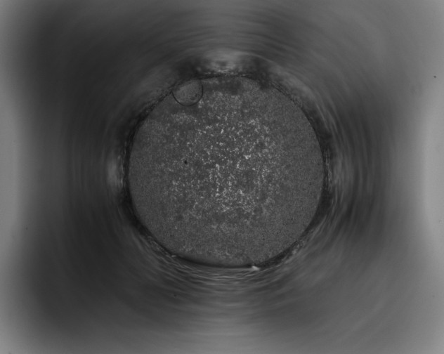 X0000093430606200710121203