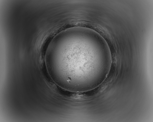 X0000093430607200710121203