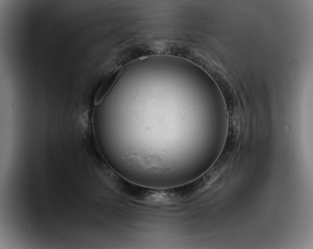 X0000093430611200710121203