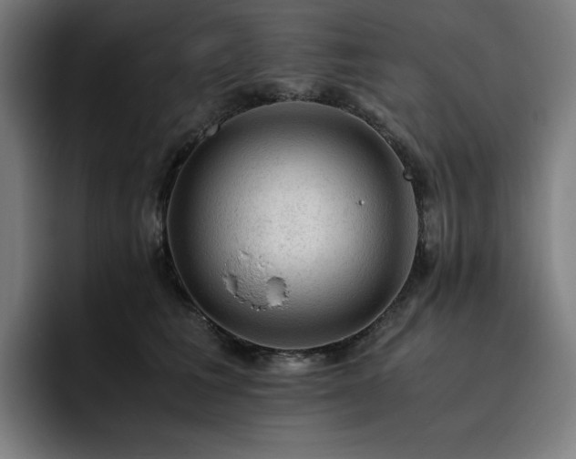 X0000093430613200710121203