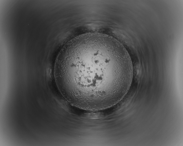 X0000093430615200710121203