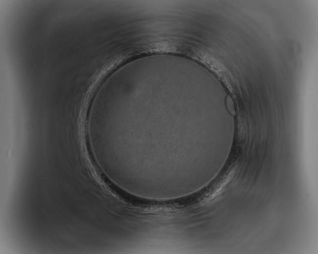 X0000093430625200710121202