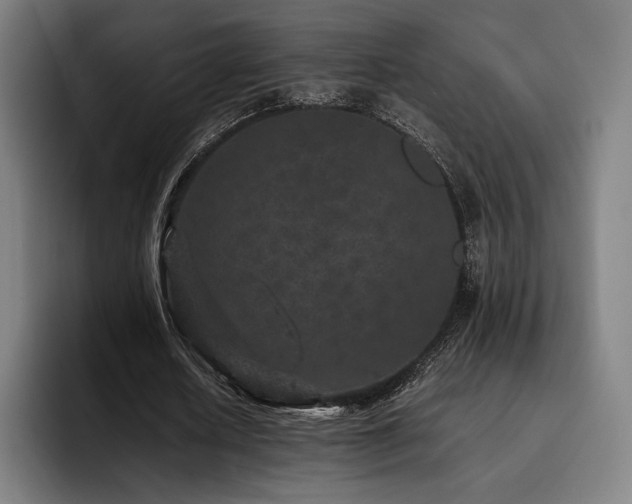 X0000093430626200710121202