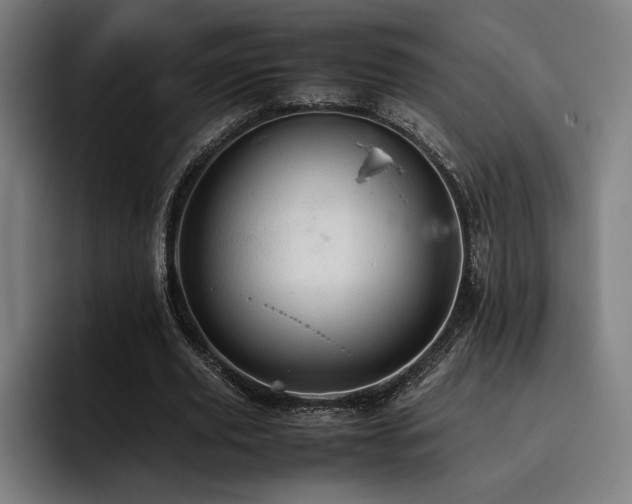 X0000093430629200710121202