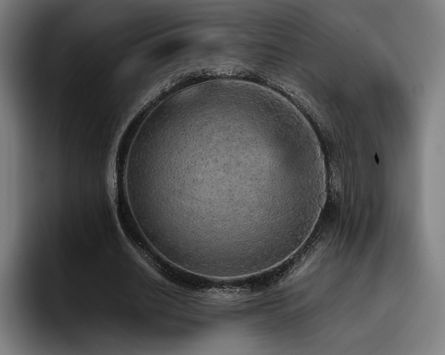 X0000093430630200710121202