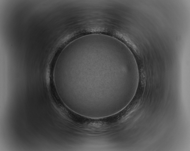 X0000093430631200710121202