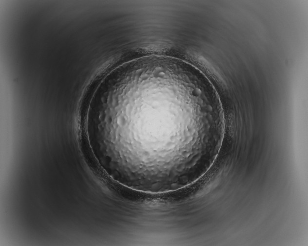 X0000093430634200710121202