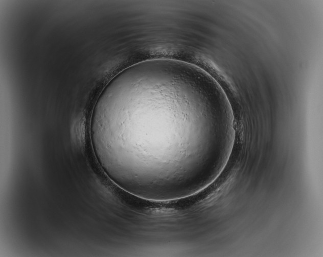 X0000093430637200710121202