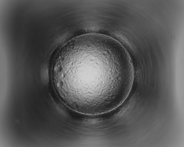 X0000093430638200710121202