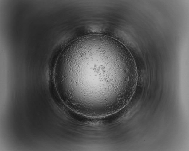 X0000093430639200710121202