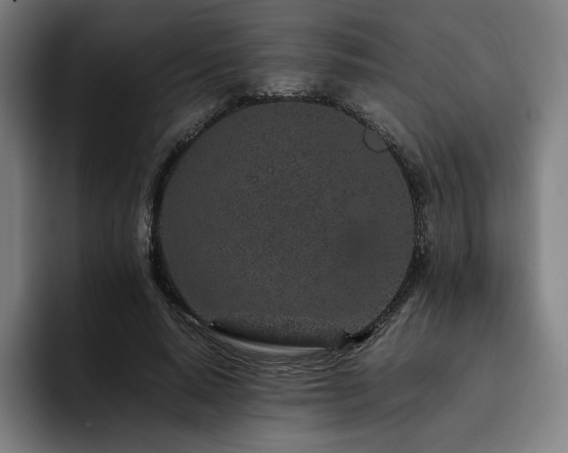 X0000093430640200710121202
