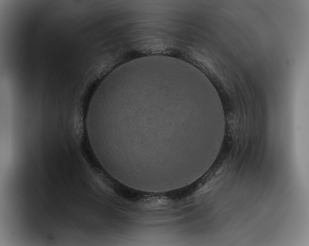 X0000093430642200710121202