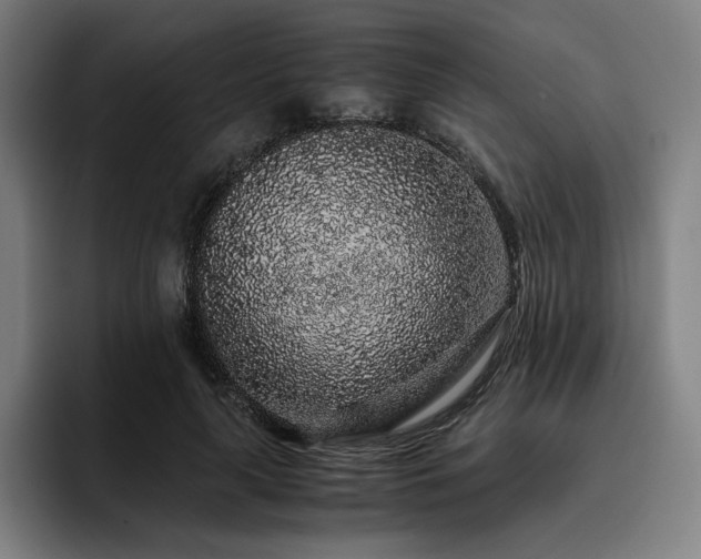 X0000093430643200710121202