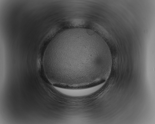 X0000093430644200710121202