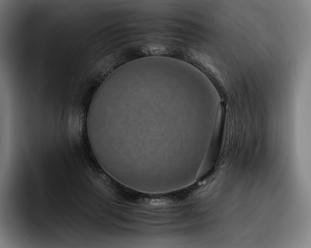X0000093430645200710121202