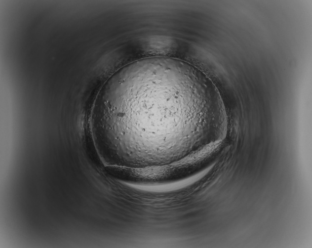X0000093430647200710121202