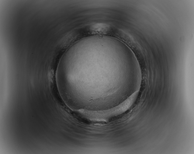 X0000093430649200710121202
