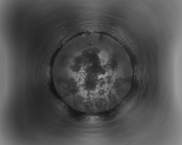 X0000093430650200710121202