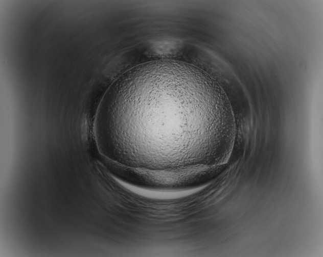 X0000093430651200710121202