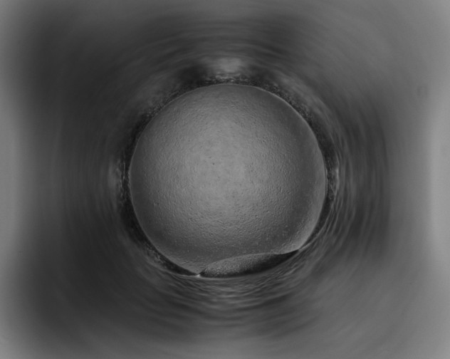 X0000093430653200710121202