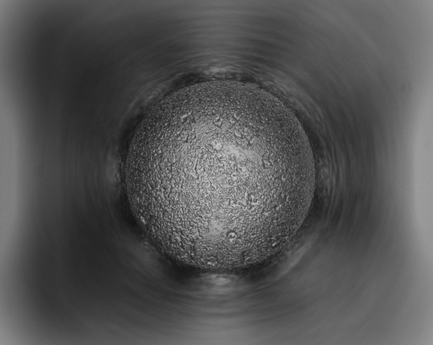 X0000093430654200710121202