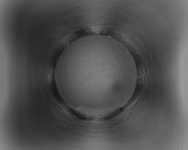 X0000093430656200710121202