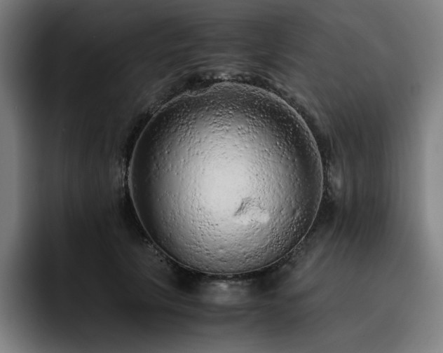 X0000093430657200710121202