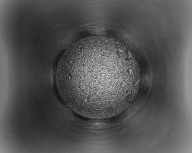 X0000093430658200710121202