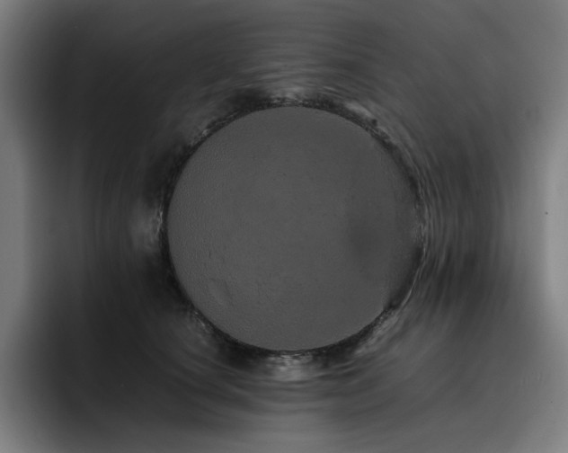X0000093430660200710121202