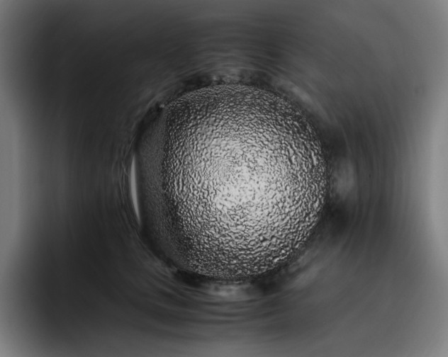 X0000093430661200710121202