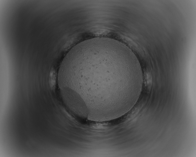 X0000093430664200710121203
