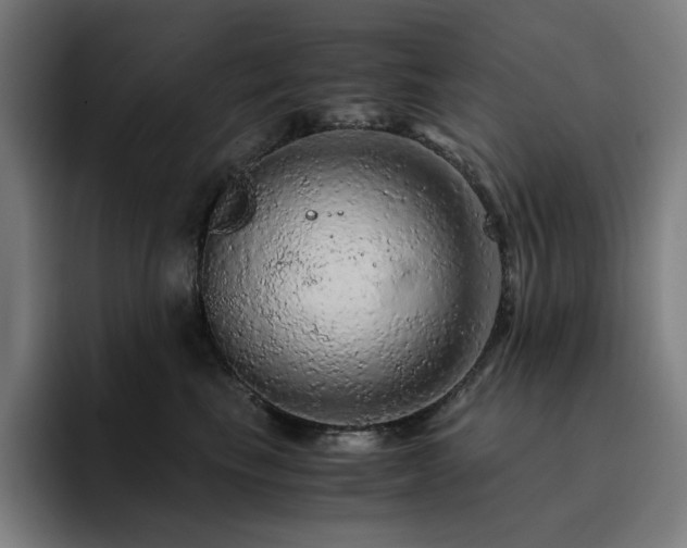 X0000093430665200710121203