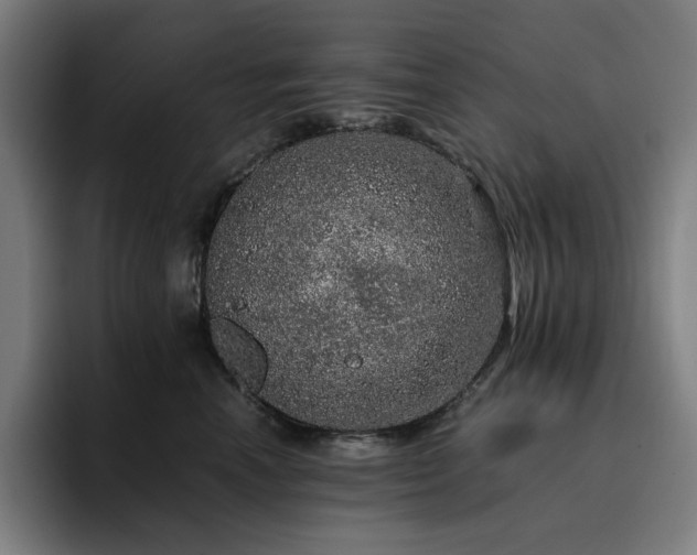 X0000093430666200710121203