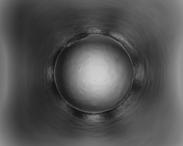 X0000093430669200710121203