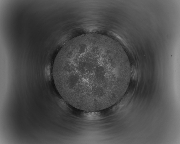 X0000093430670200710121203
