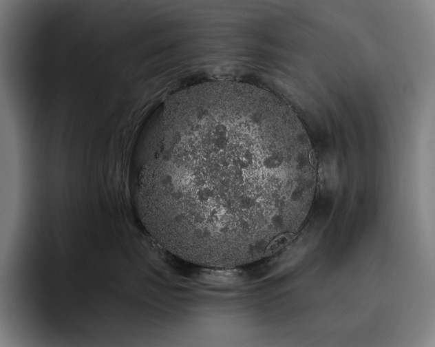 X0000093430671200710121203