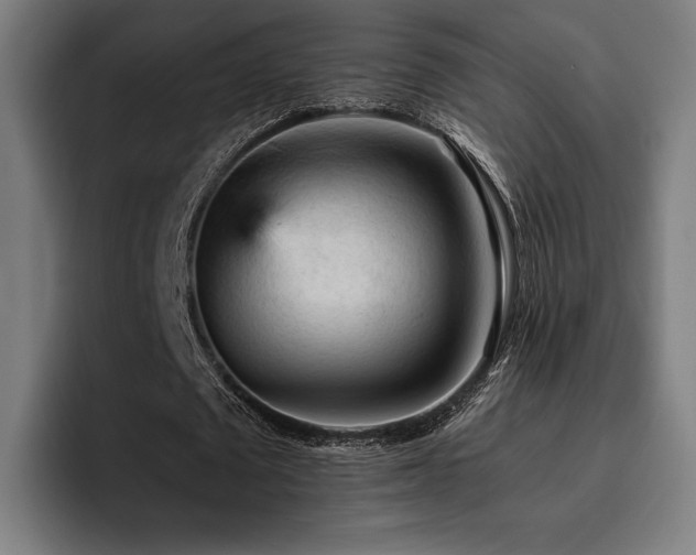 X0000093430673200710121202